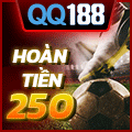 vn_live_l1