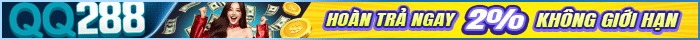 vn_live_m3