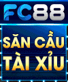 vn_live_ra1